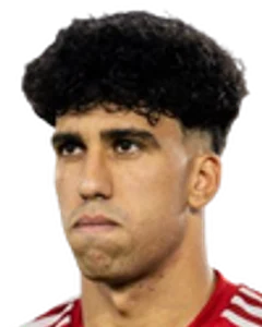 Fadel Mansour