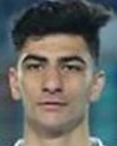 Amirmohammad Razzaghinia